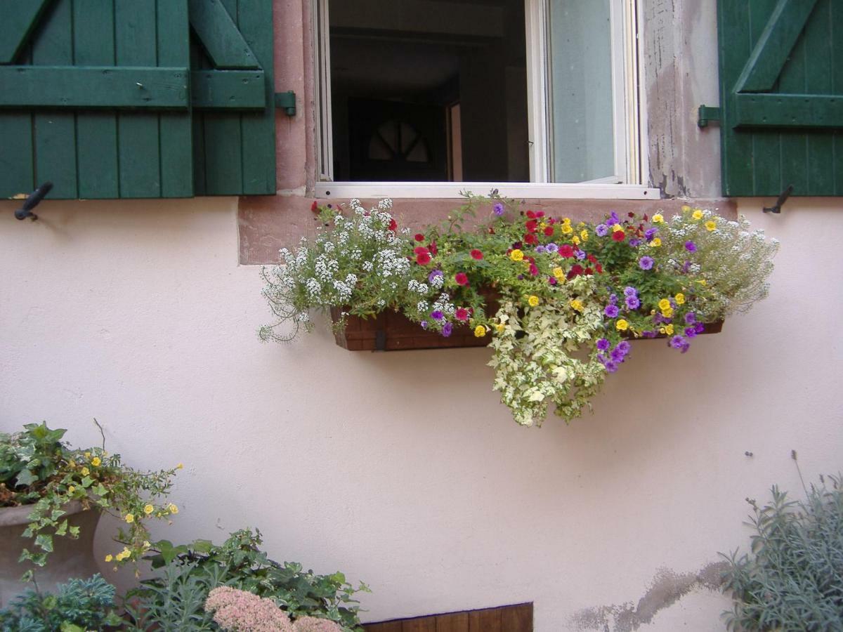 Charmant Petit Appartement En Alsace Bouxwiller  Exterior foto
